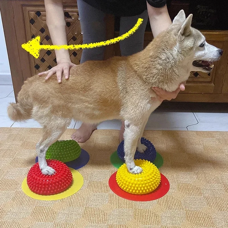 AVC Pet Dog Paw Pad Hemispherical Training Nerve Balance Correction Muscle Atrophy Surgery Knee Patella Lumbar Spine Pet Product