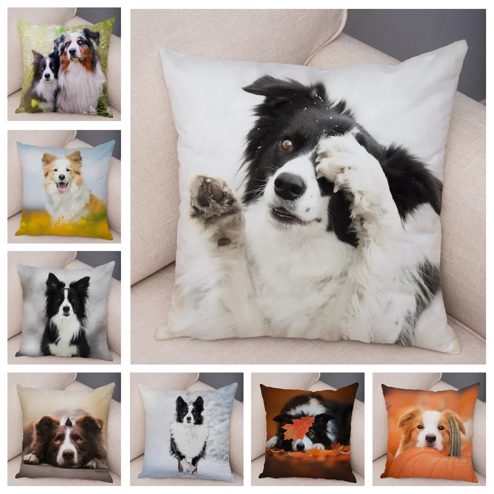 Printed Pet Animal Cushion Cover Scotland Border Collie Pillowcase Decor Cute Dog Pillow Case for Sofa Car 45x45cm35x35cm