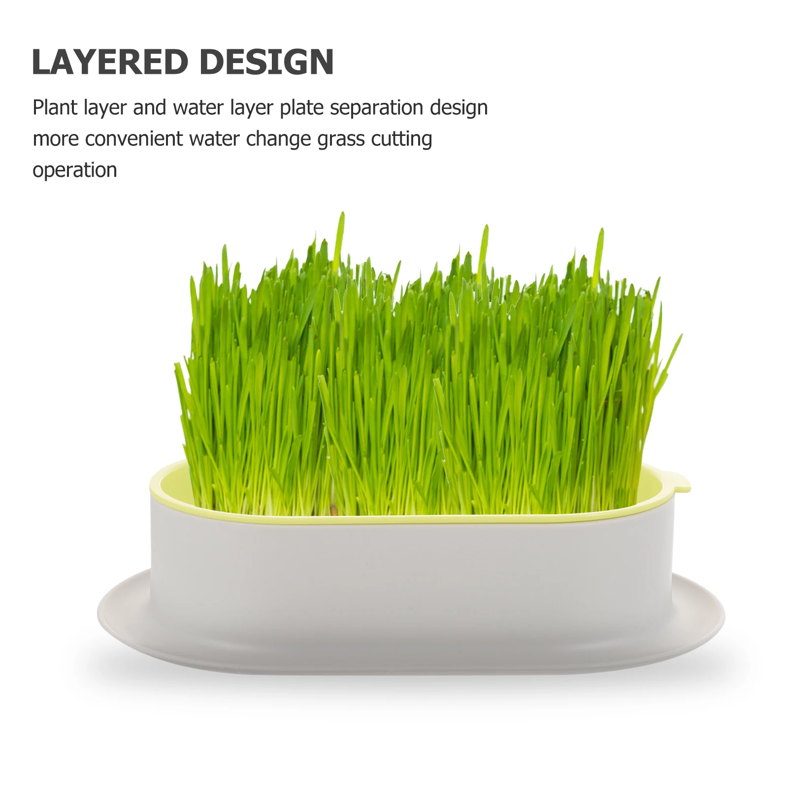 

Cat Litter Box Pots for Grass Planter Growing Household Hydroponics Soilless Indoor