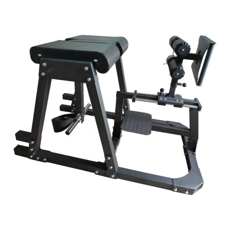 Roman Chair Integrated Gym Machine Glute Ham Developer