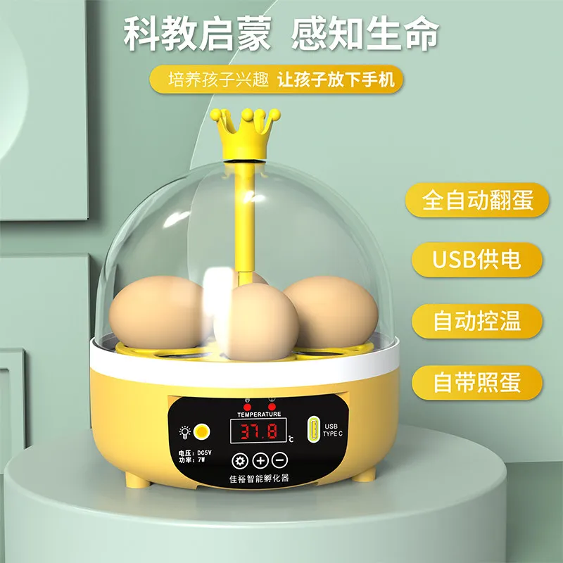 

Mini Small Egg Incubator Automatic Children's Incubator Intelligent Incubator 4 pieces Science and Education Experimental Egg