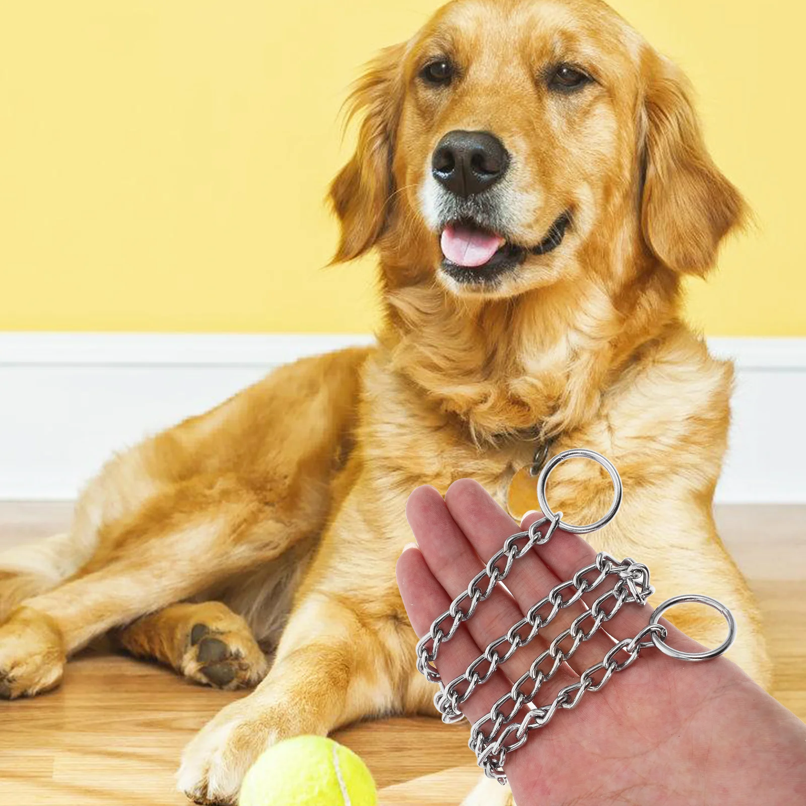 

Chrome Plated Dog Collar Stylish Metal Pet Neck Chain For Small Dogs Comfortable Fit Durable Lightweight Puppy Chain Fashionable