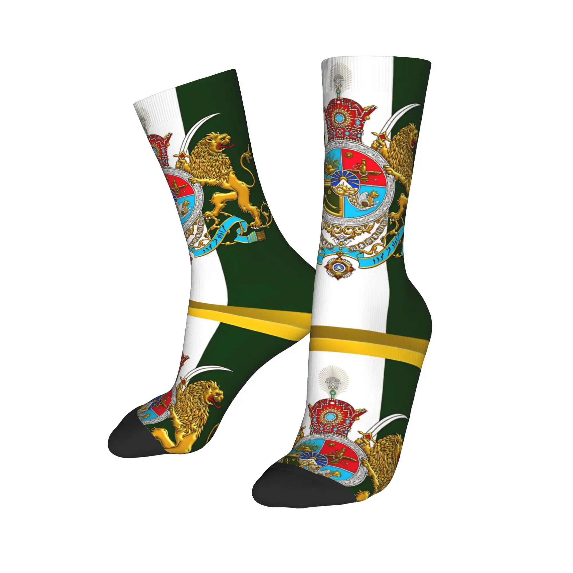 

Мужские повседневные носки с изображением имперского герба Ирана и династии Пахлави, женские носки, весна-лето-осень-зима