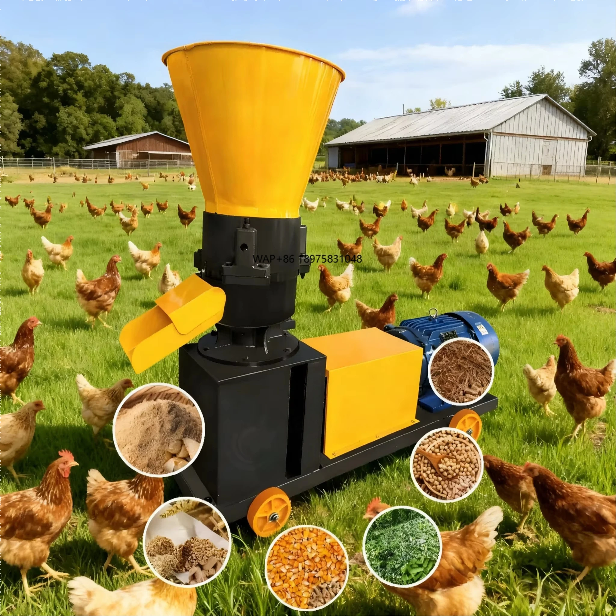 

Машина для производства кормовых гранул, подходит для производства птицы/живощных материалов, выход 800 кг/ч, настраиваемые гранулы