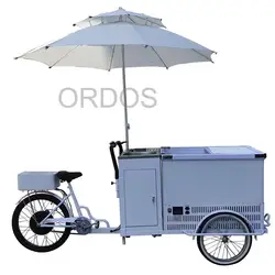 48V DC Battery Powered Freezer Electric Bicycle Food Sales Shop Ice Cream Coffee Hot Dog Mobile Booth Mobile Restaurant