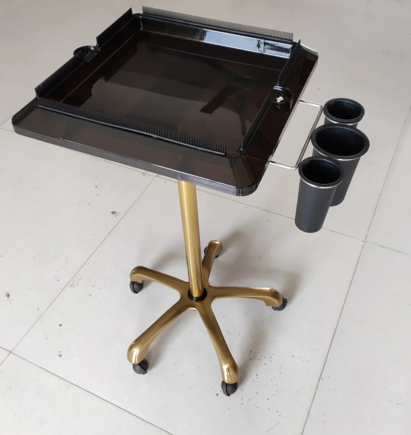 Modern Salon Trolley, Styling Cart with Wheels, Beauty Tray Organizer, Hair Salon Equipment, Mobile Storage Solution
