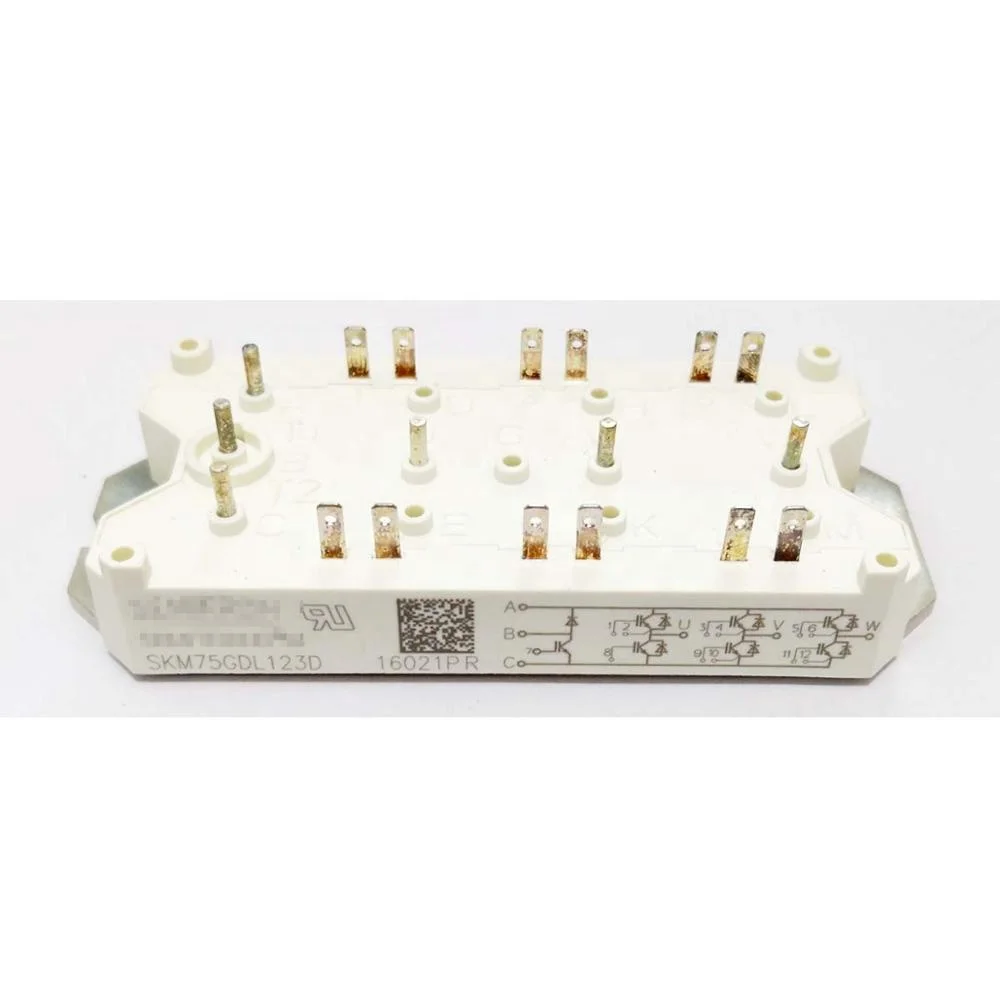 Módulo de transistor IGBT SKM75GDL123D SKM40GDL123D SKM40GD123D SKM25GD125D SKM40GD121D SKM22GD123D