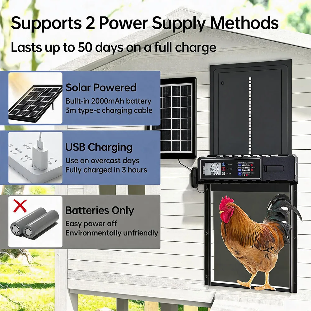 Porte automatique étanche pour poulailler, alimentée par énergie solaire et batterie, avec minuterie intelligente, ouvre-porte électrique en aluminium, fournitures pour élevage de poulets