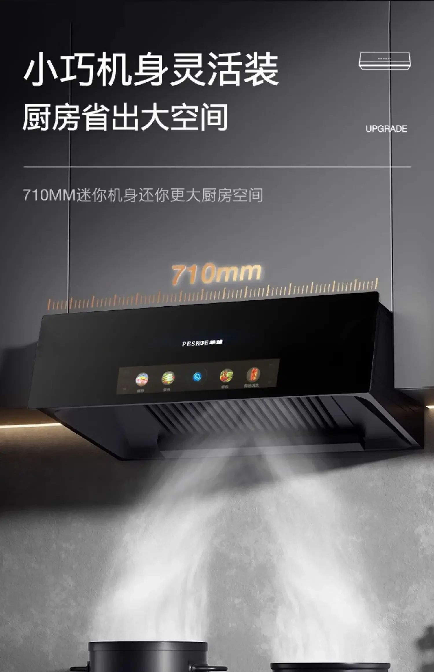 220V Peskoe Range Hood Powerful Suction Top Mounted Kitchen Extractor for Home Use