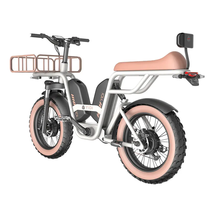 Electric Double Scooter Motor Electric Mountain Bike Family Cargo Speed Bike With Seat