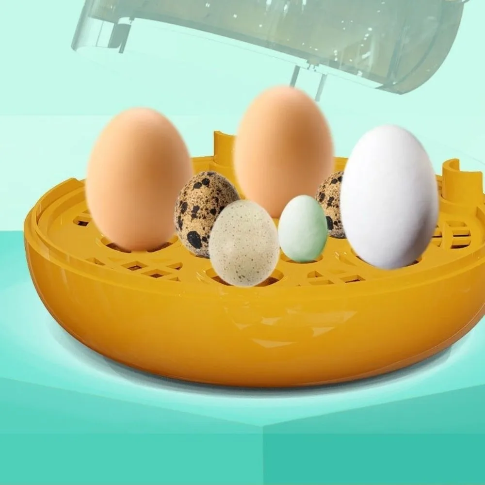 Transparent Window Eggs Incubator Automatic Temperature Control Humidity Control Eggs Hatcher Machine Low Noise Sturdy
