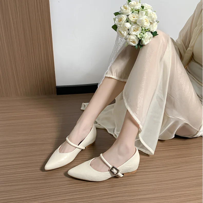 

Women Pointed Mary Jane Shoes Spring and Summer Retro Shallow Dress Shoes Ladies 2026 Fashion Elegant Increased Internal Pumps