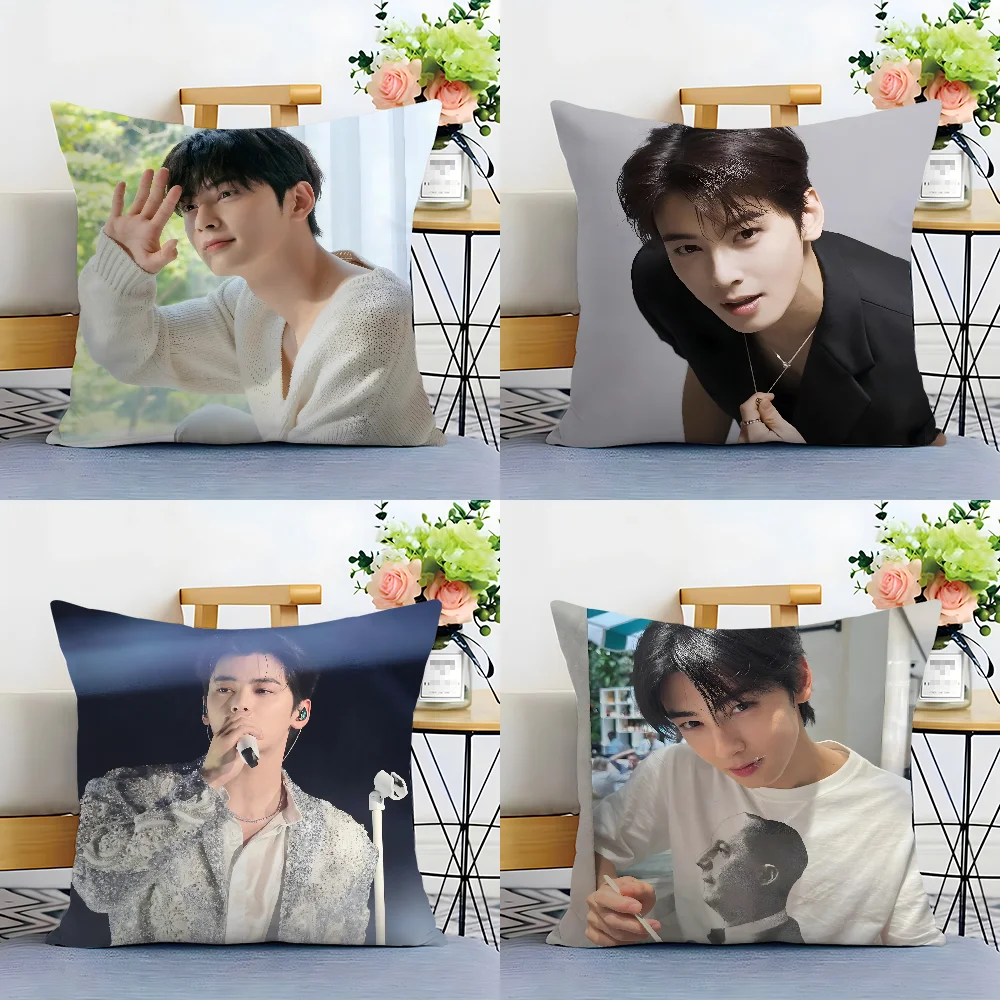 Kpop Singer Cha E-Eun W-Woo Pillow Case Plush Fabric Soft  Pillowcase Double Sided Print Cushion Cover Household Gifts