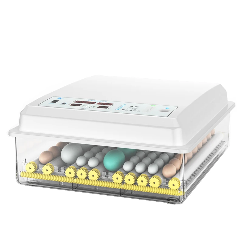 

Изготовленный на заказ инкубатор для фермерских яиц на заднем дворе для инкубации цыплят, инкубатор для яиц, полностью автоматический инкубатор