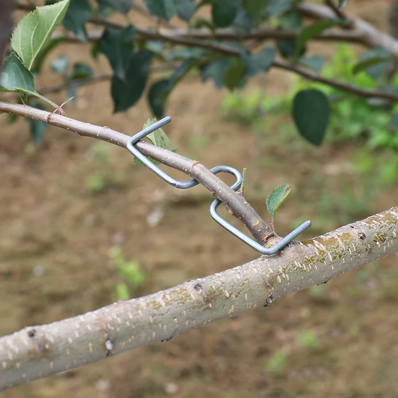 30 unids/set extractor de ramas de árboles frutales gancho dispositivo para dar forma a ramas desarrollo de ramas Horizontal soporte para plantas herramienta de jardín