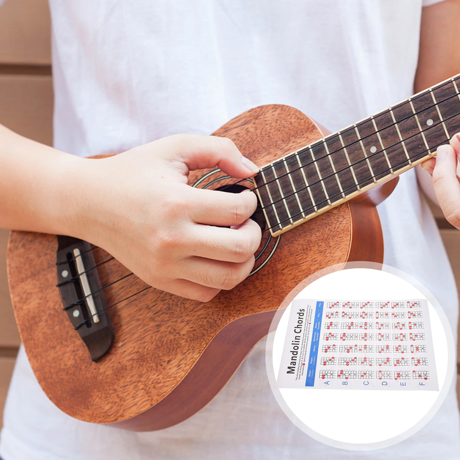 

Mandolin Chord Chart Lightweight Fretboard Notes Diagram Poster For Beginners Teachers Songwriters Major Minor Seventh Augmented
