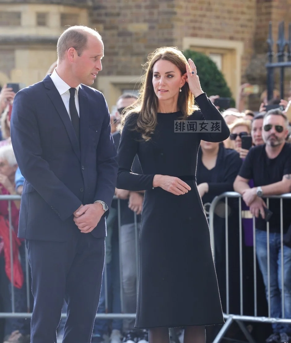 Princess Kate Middleton Dresses Long Sleeve Vintage Elegant O Neck Dress Professional Office Ladies Work Formal Business Wear view 2
