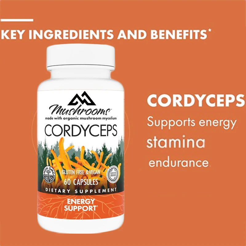 Cordyceps sinensis capsules - immune and energy support supplement for kidney health containing Cordyceps sinensis 60 capsules