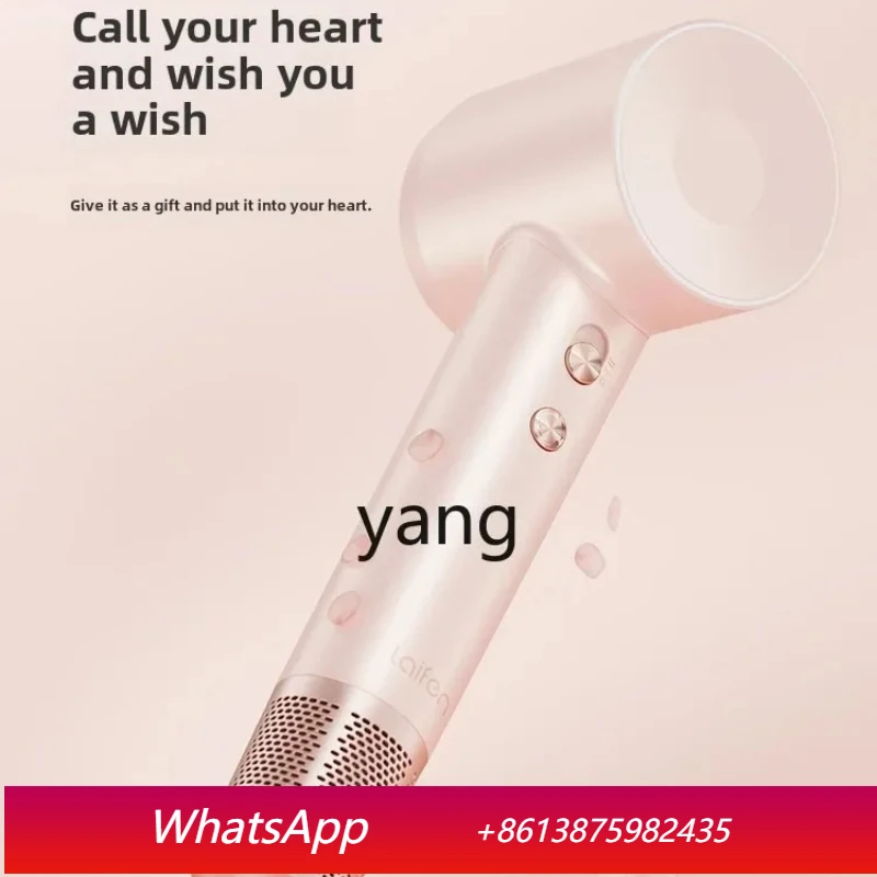 

Lcx high speed hair dryer negative ion hair care home