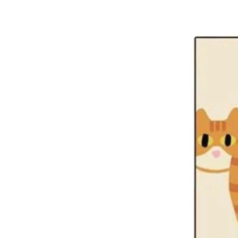 

1/2Pairs Cute Cat Socks with Balls Funny Cotton Socks Breathable Soft Cartoon Cat Socks Girl Women Boy Men Socks Novelty Gifts