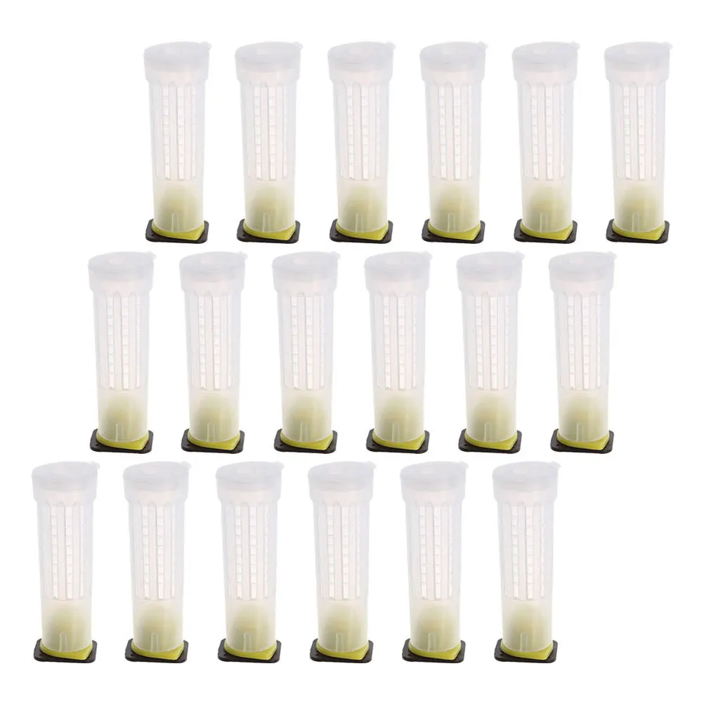 

24Pcs Bee Catcher Cages Plastic Rearing Cell Cups Durable Beekeeping Equipment Bee Breeding Tools Rearing Cups