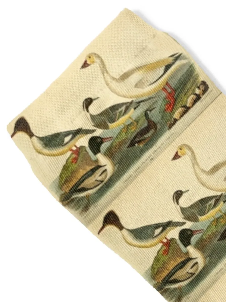 Naturalist Ducks Socks cute gifts Stockings compression anti slip football Socks Ladies Men's
