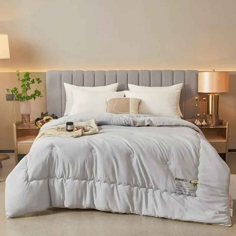2024 New Class A Skin-friendly Soft Silk Quilt Warm Thickened Winter Silk Quilt Core four season universal blanket