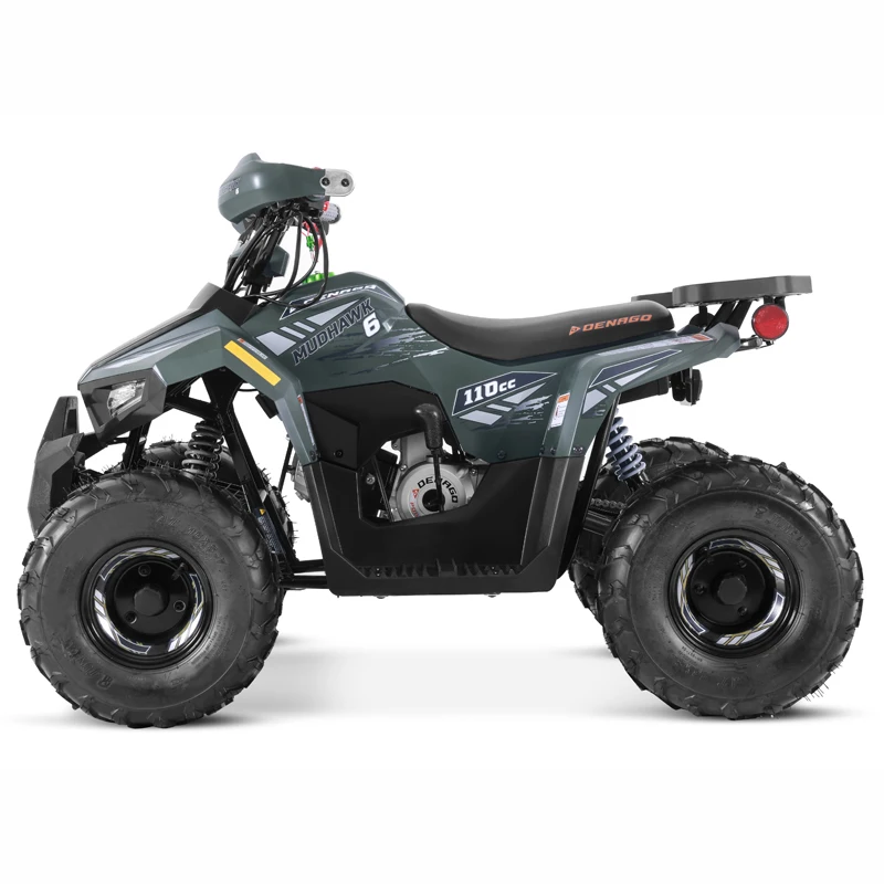 Tao Motor 2025 New ATV Quad Bike Cuatrimoto Cheap Chinese Kids 110cc ATV with EPA CE