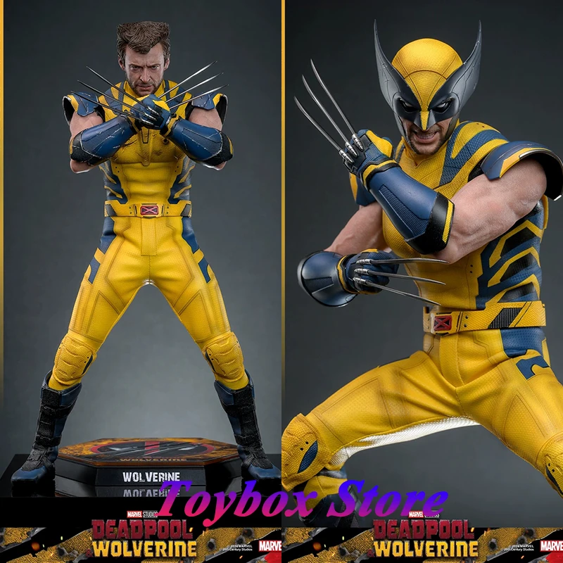 

HOTTOYS HT MMS753 MMS754 1/6 Collectible Wolverine Action Figure Deadpool 3 Movie Handsome Hugh Jackman Delicate 12in Soldier