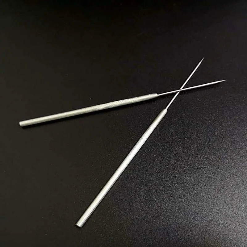 Stainless Steel Anatomy Tools 10pcs/20pcs/30pcs 135mm,Probe Insect Dissection Needle,Biological Dissecting Needle