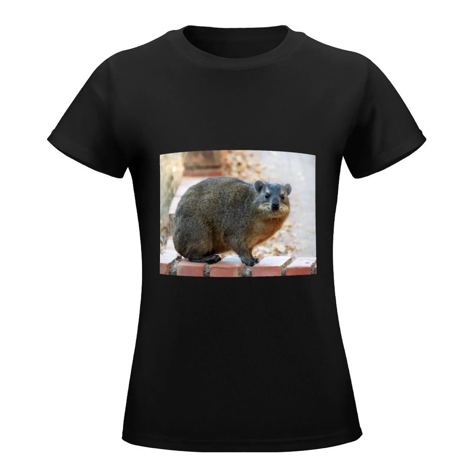 Dassie / Rock hyrax T-Shirt korean fashion aesthetic clothes Woman T-shirts