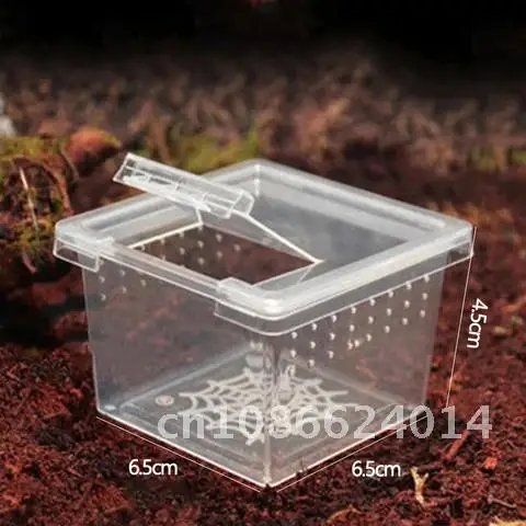 

1pcs Terrarium Tortoise Spider Beetle Insect House Feeding Acrylic Box Reptile Cage Hatching Container Rearing Tank for Lizards