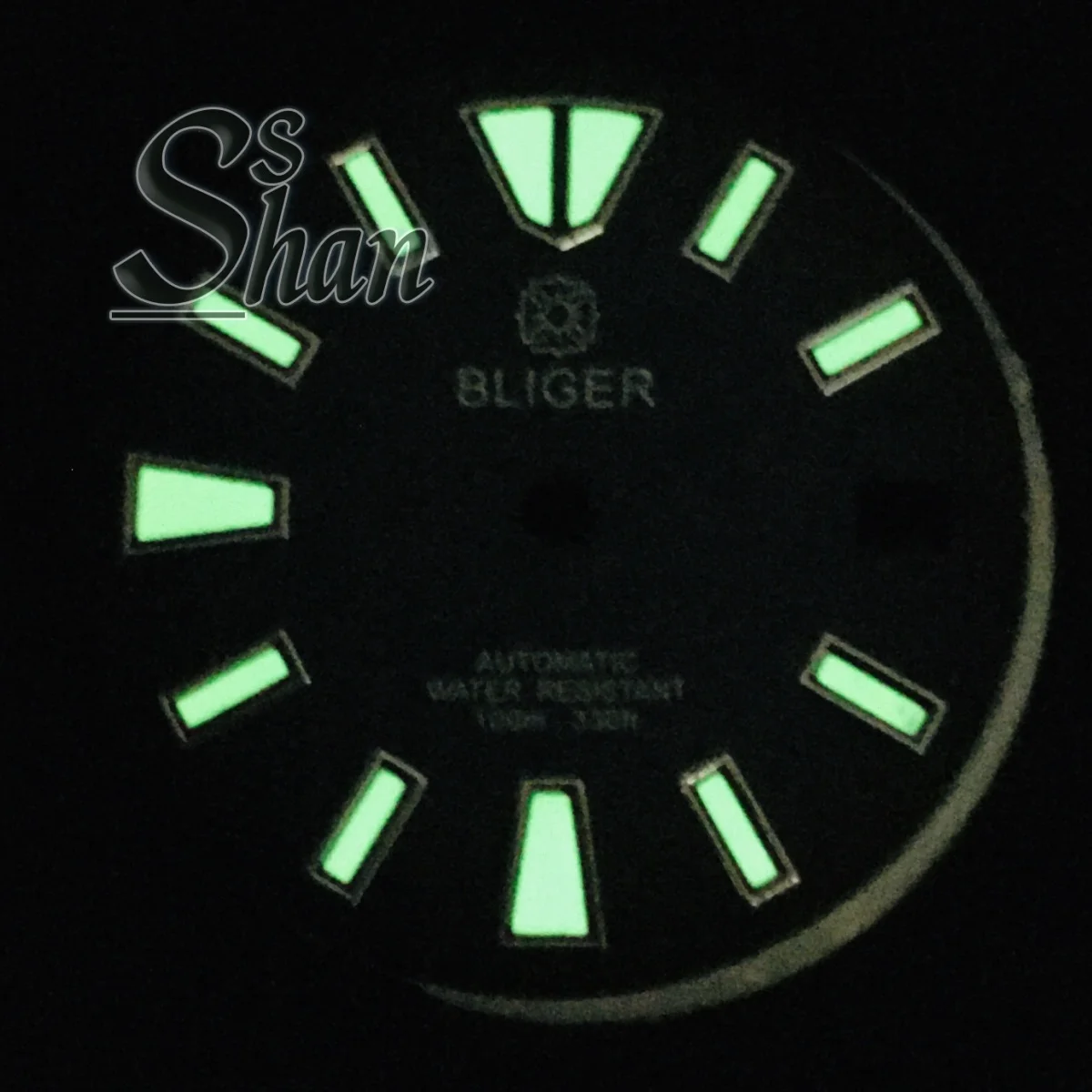 قرص التقويم الدائم مقاس 29 مم باللون الأخضر والمضيء مناسب لحركات NH35 وNH36