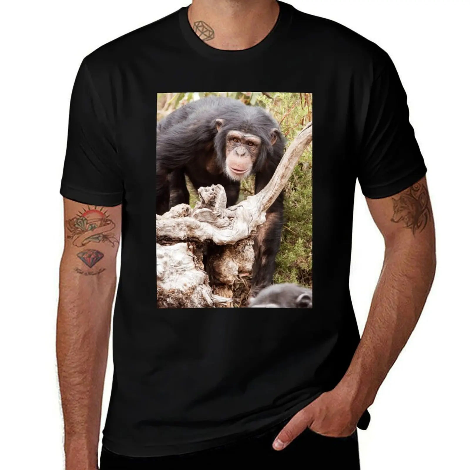 

Zuri T-Shirt Casual Light Summer Short Sleeve Top