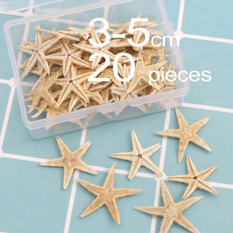 40 Natural Beach Beach Craft Perfetto per decorazione del matrimonio Home Office