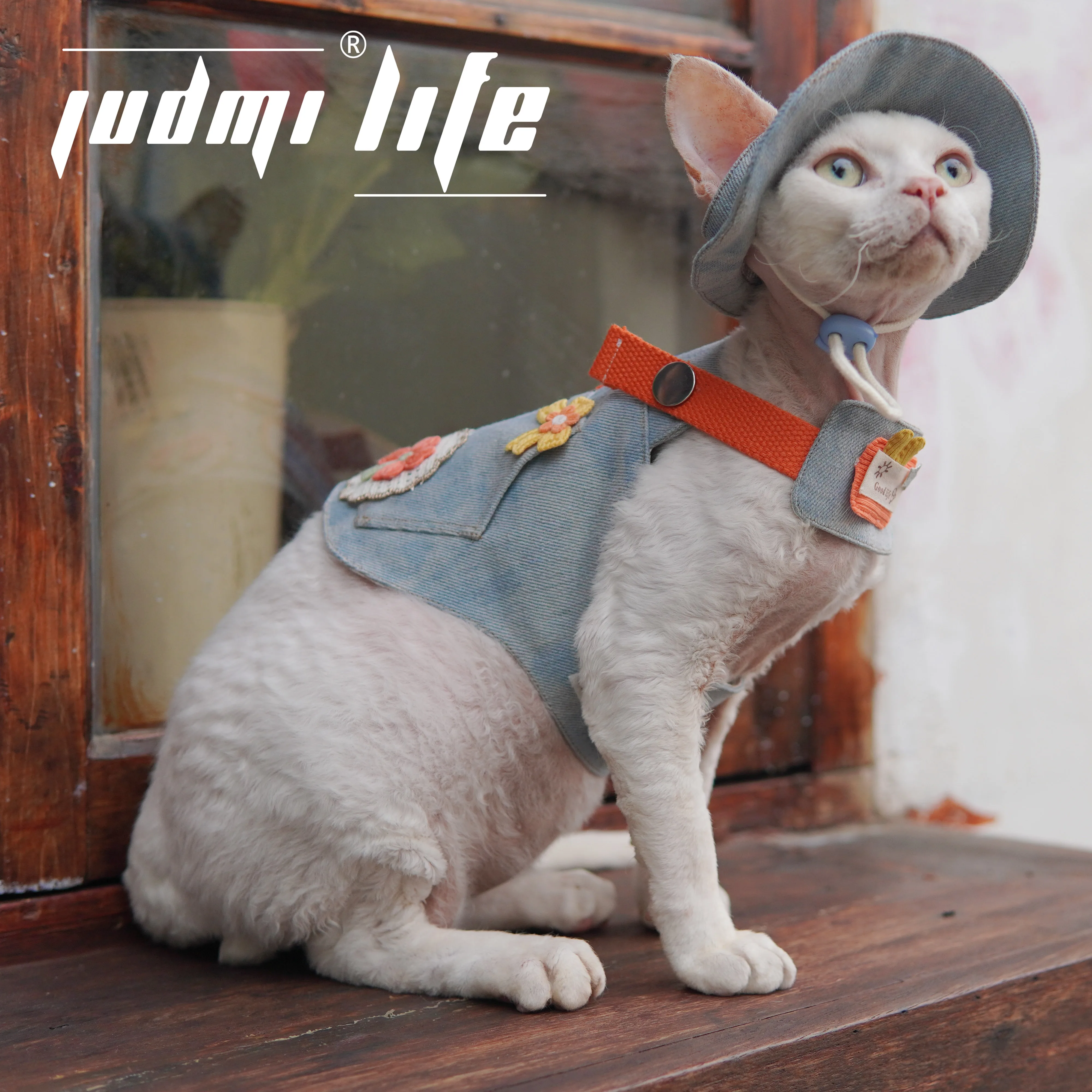 JUDMILIFE Devon Curly Cat Hairless Cat Chest and Back Traction Kit Pet Cowboy Carrier Outdoor Skate Cat Towable Camping Vest