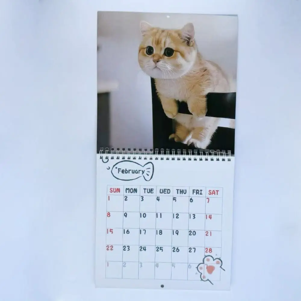 

One Month to View 2026 Cat Calendar Adorable Frog-Eyed Hat Cat Memo Planner Monthly & Daily Planner Schedule 2026 Wall Calendar