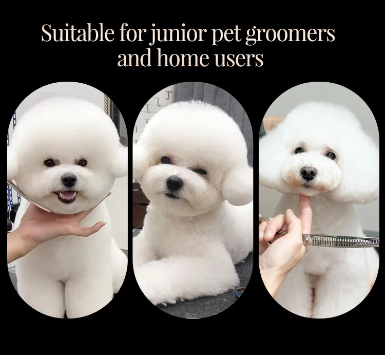Fenice 6//6,5/7/7,5 Zoll Professionelles Fellscheren-Set für Hunde, gerade, gebogen, dünnere und Chunker-Schere – Detail 4