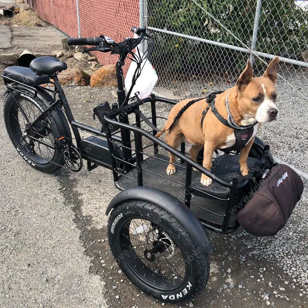 

Wholesaler Adults 750w/500W 3 Wheel Front Load Cargo Electric Chinese Electric Tricycle Fat Tire Electric Tricycle