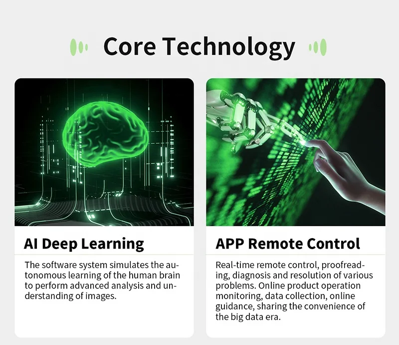 Paddy Seed Processing Machine Color and Shape Sorter Efficient Rice Seed Grading Machine