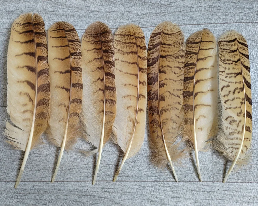 

10Pcs/lot 8-10 inches/20-25 cm long natural owl round quill feathers for DIY stage celebration clothing hat decoration