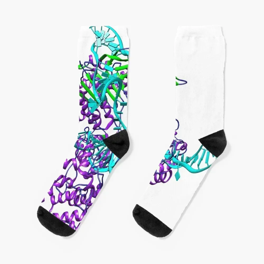 CRISPR Cas9 Complex 3D Model Socks shoes ankle Girl'S Socks Men's