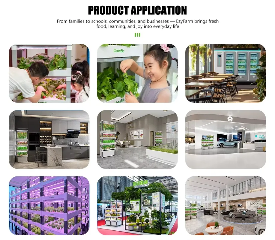 مجموعة الزراعة المائية الداخلية الصغيرة للأعشاب والخس والفراولة