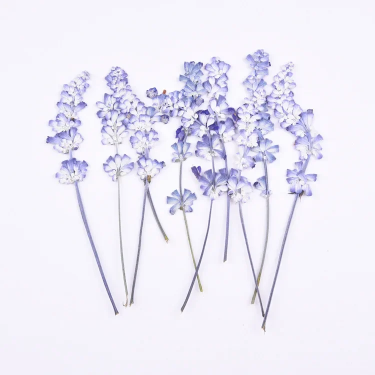 16pcs/lot,Natural Pressed flowers with stem,Eternal real rose flowers for DIY Wedding invitations Craft Photo Bookmark Gift Card image 3