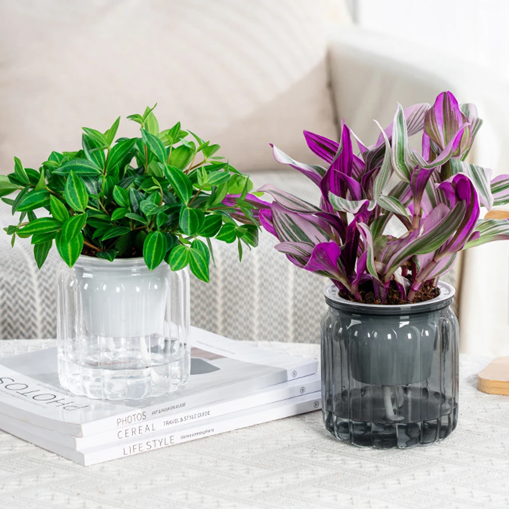 

Plastic Transparent Tabletop Flower Pot Decoration Self Watering Tabletop Vase Solid Color indoor Hydroponic Home Plants Pot