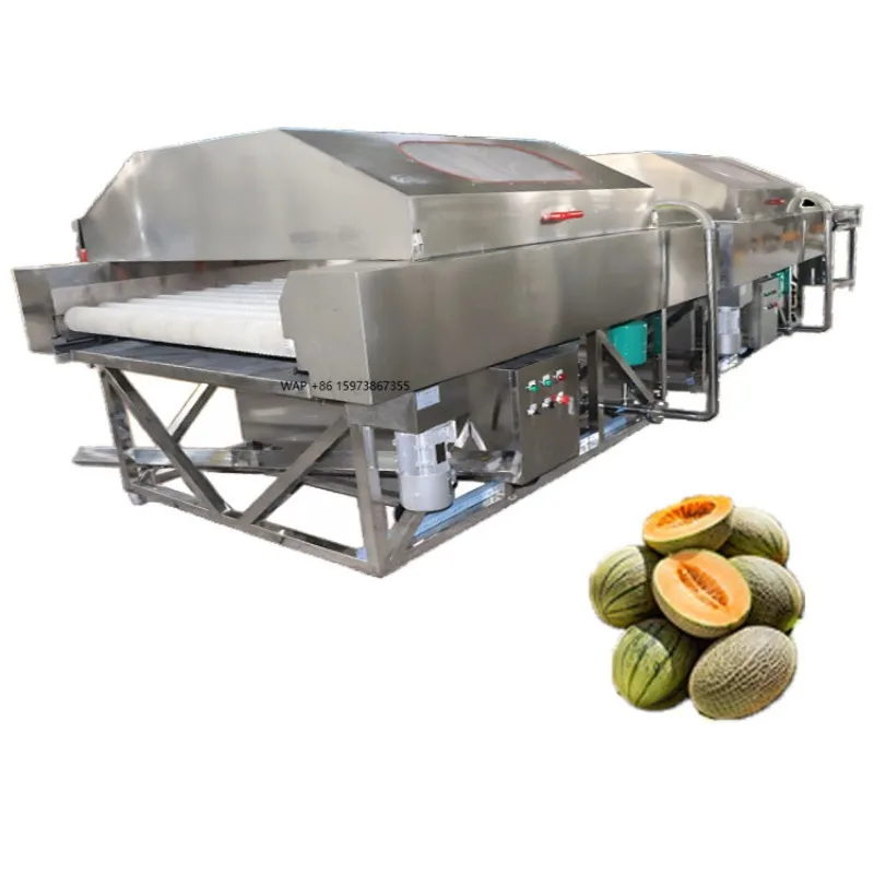 Automatic Industrial Fruit Washing and Sorting Machine for Tomato Avocado Potato Processing