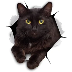 LYKX Black Cat Torn Metal Car Sticker Waterproof Personalized Decal Laptop Truck Motorcycle Auto Accessories PVC Decals
