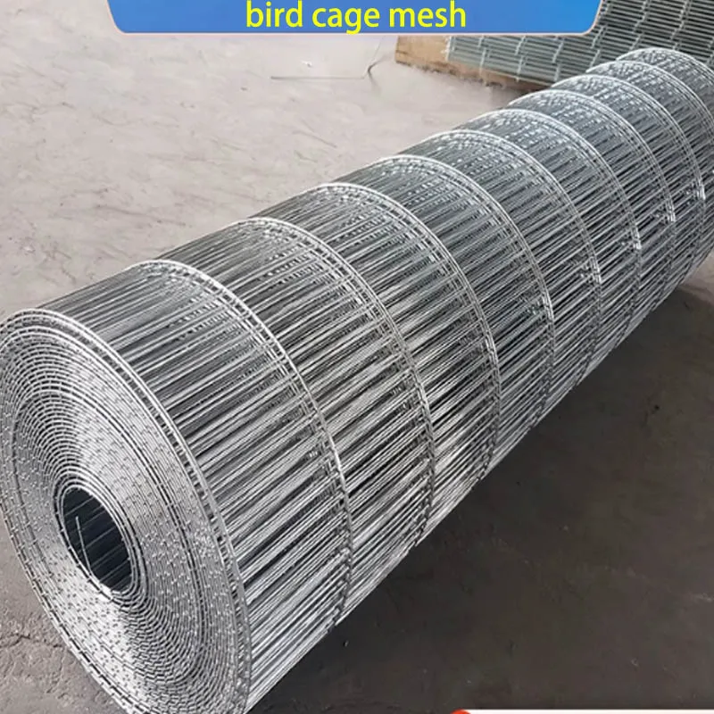 Malla de alambre de hierro soldada galvanizada de 1,2 M de alto, utilizada para cría doméstica, pájaro, Paloma, Conejo, loro, codorniz, jaula para pollo