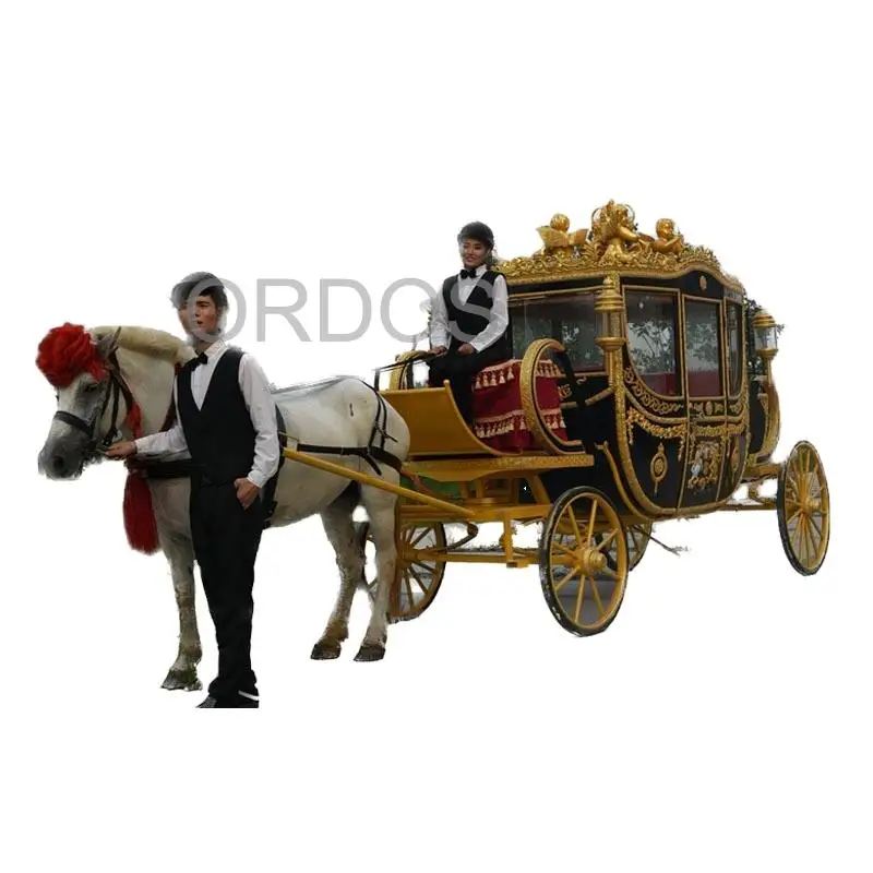 

Custom design horse carriage with electric power royal luxury sightseeing buggy