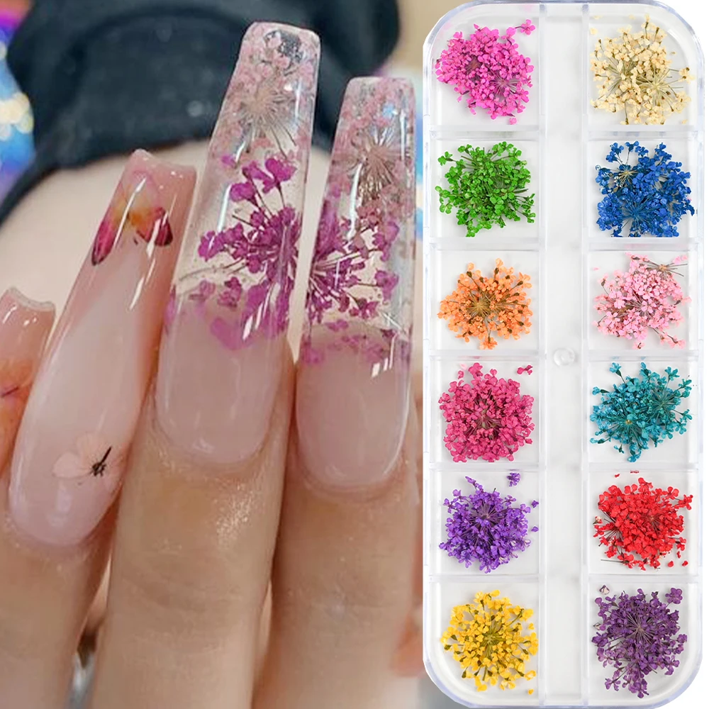 12 Color 3D Dried Flower Nail Art Accessories Babysbreath Floral Petals Natural Exquisite Flower Nail Decals Decoration Material